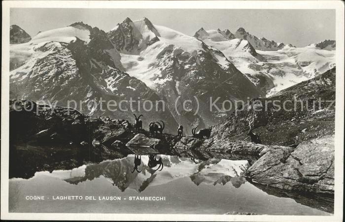 Cogne  Laghetto del Lauson