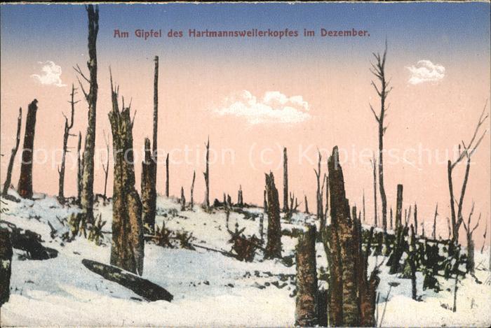 Hartmannsweilerkopf Im Winter
