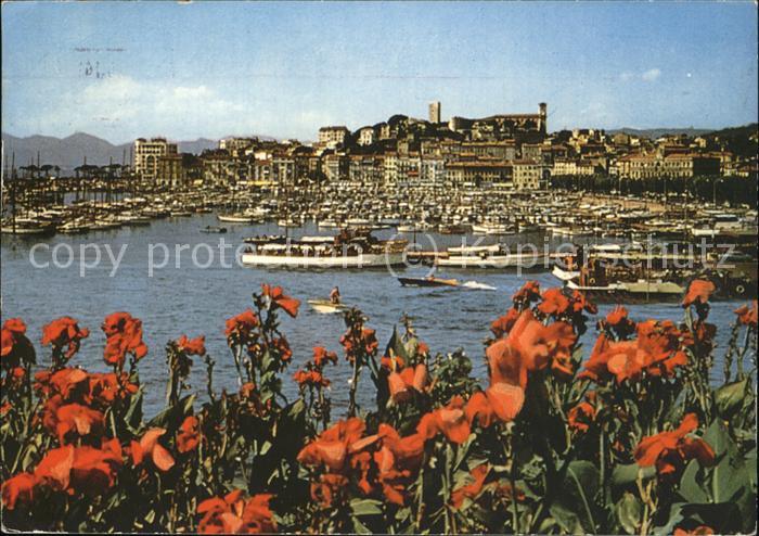 Cannes Alpes-Maritimes Coin du Port