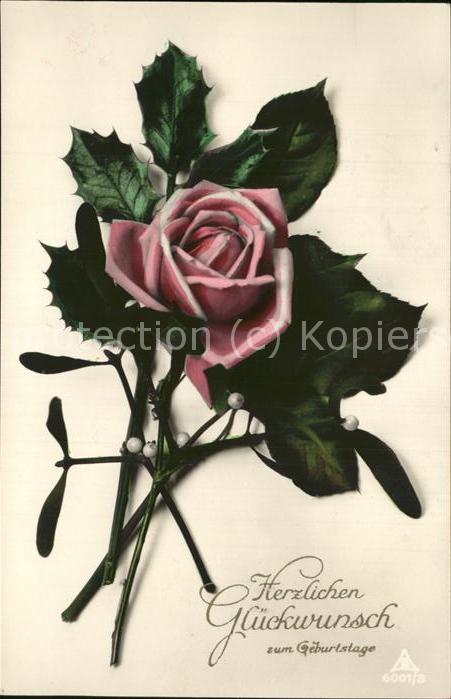 Rosen Glückwünsche
