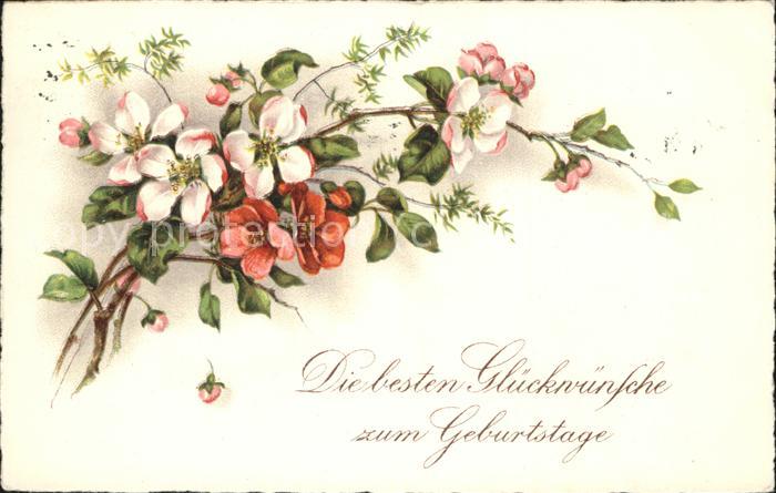 Geburtstag Blumen Rosen
