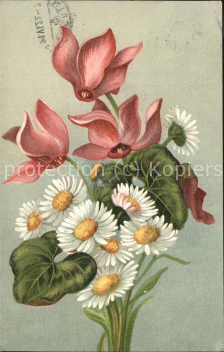Blumen Strauß