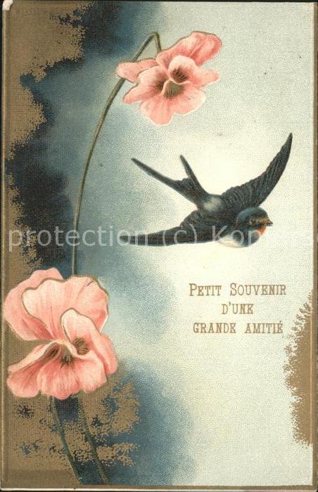 Voegel Birds Oiseaux Uccelli Pajaros-- Petit Souvenir Grande Amitie Blume