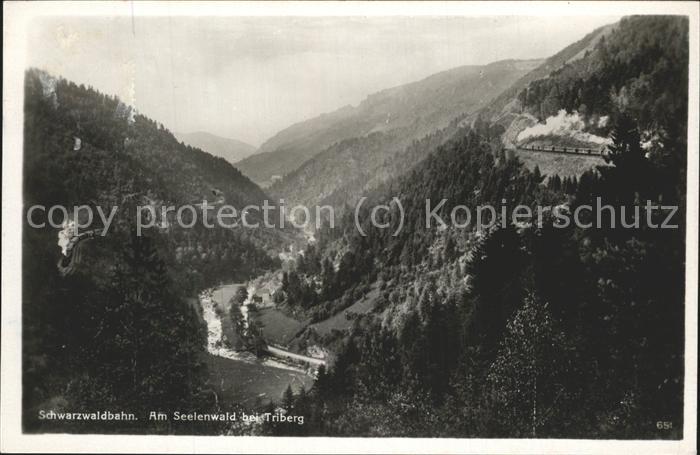 Bergbahn Schwarzwaldbahn Seelenwald Triberg