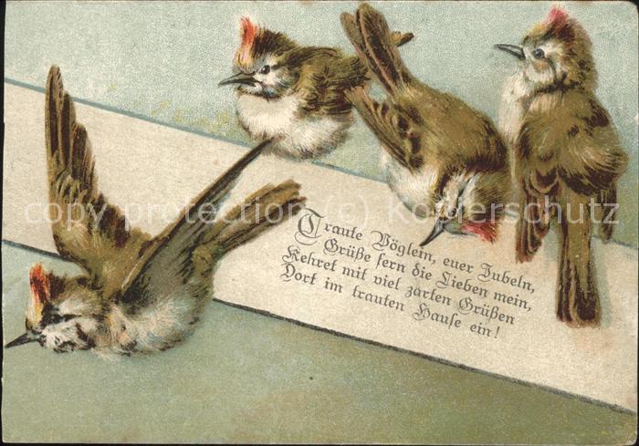 Voegel Gedicht
