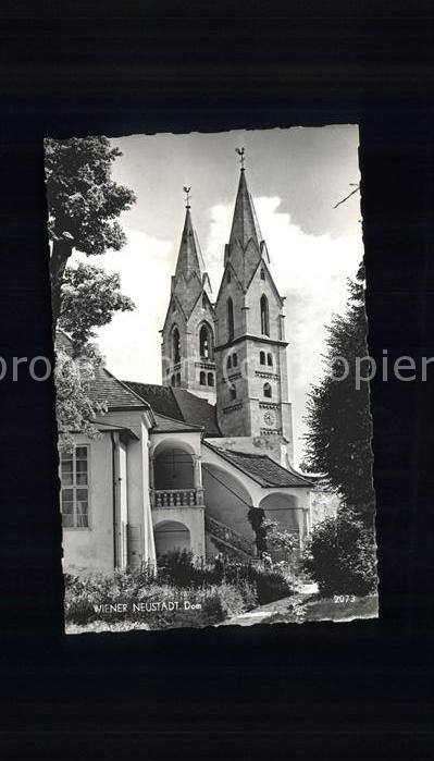 Wiener Neustadt Dom