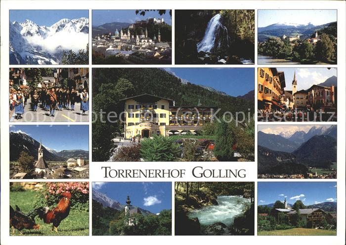 Golling Salzach Landgasthof Torrenerhof