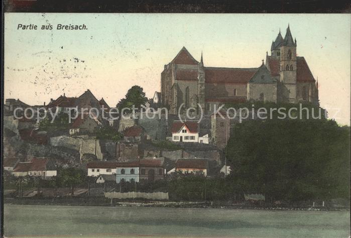Breisach Rhein Rhein-Panorama mit Muenster