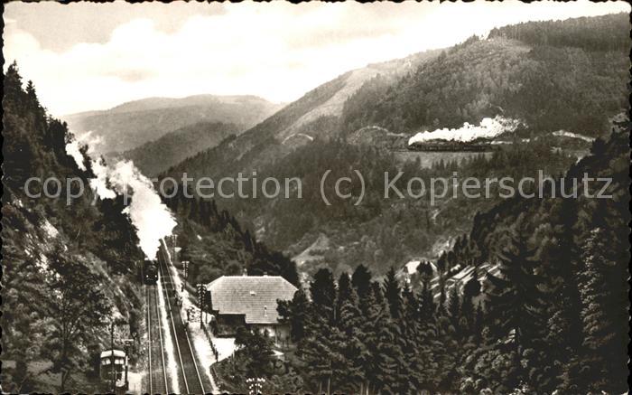 Schwarzwald Schwarzwaldbahn Eingang in den Haldentu