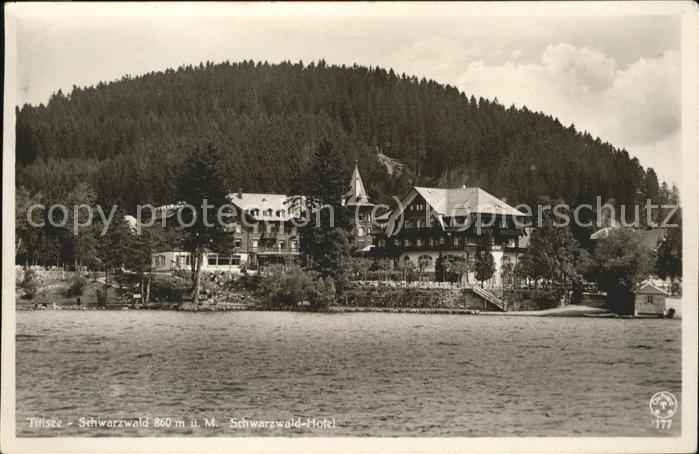 TITISEE Schwarzwald BW Seepanorama Schwarzwaldhotel