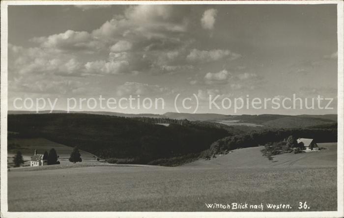 Witthoh Engen Hegau Panorama