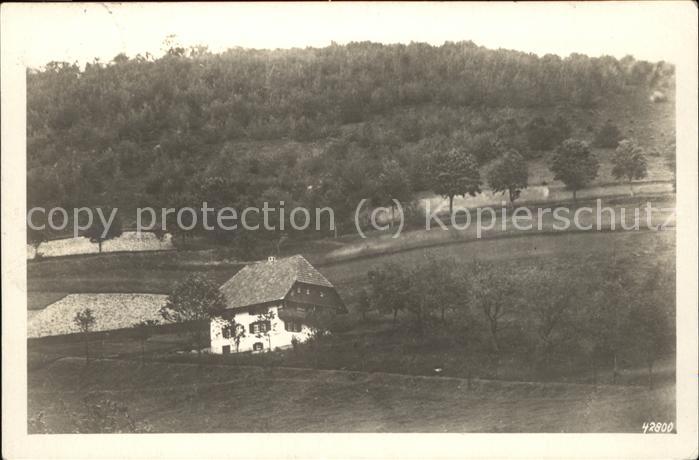 Belchen Baden Wanderheim Belchenblick