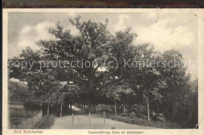 Bad Brueckenau 1000jaehrige Eiche im Schlosspark