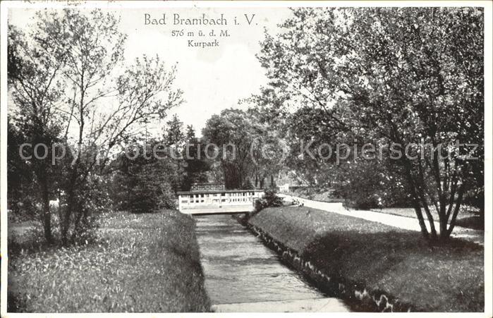 Bad Brambach Kurpark Bruecke