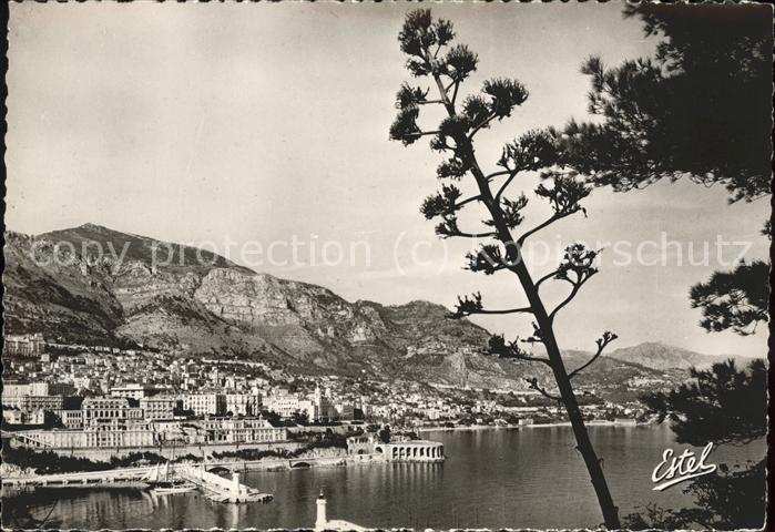 Monaco Monte-Carlo vu du Rocher