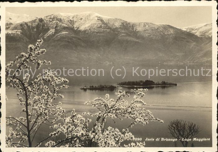 Lago Maggiore Isole di Brissago