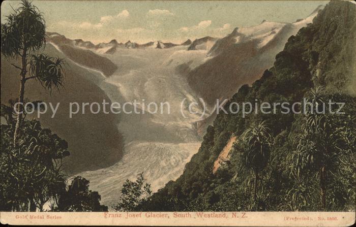Neuseeland Franz Josef Glacier South Westland
