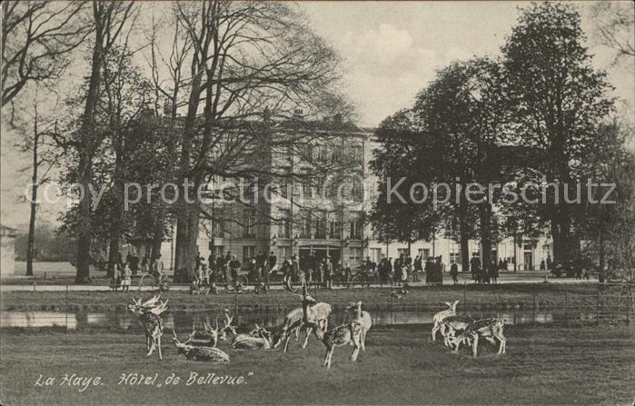 La Haye Hotel de Bellevue Rotwild