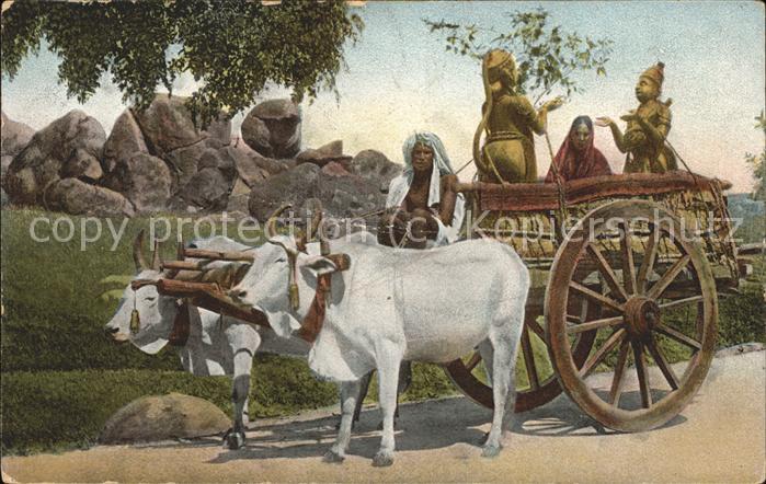 Indien Reiche Inderin im Ochsenkarren mit Götz