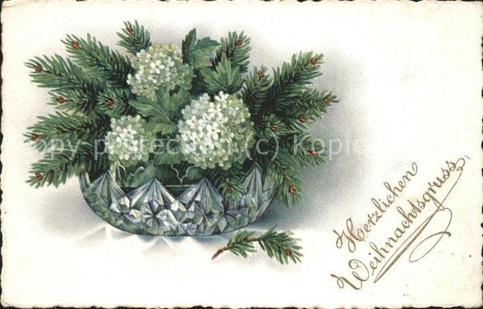 Weihnachten Blumen