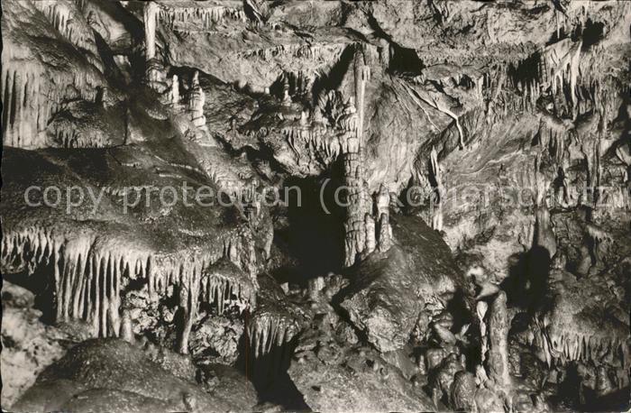 Hoehlen Caves Grottes Neuhaus-Pegnitz Maximiliansgrotte Orgel