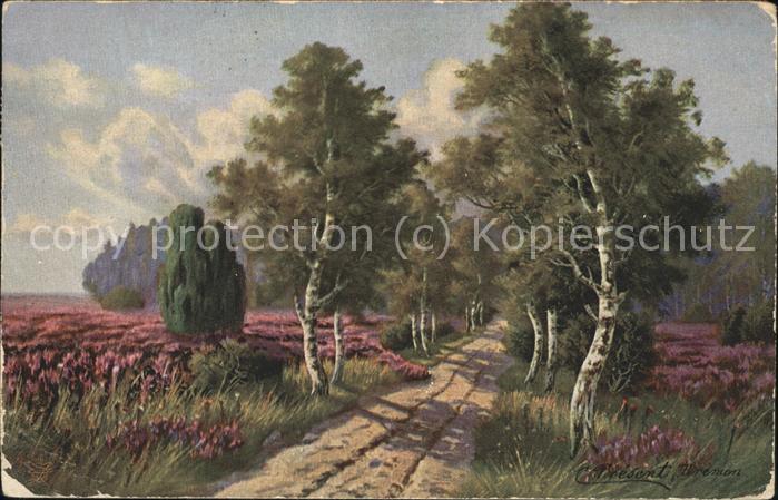 Verlag Primus Nr. 879 Wenn die Heide blüht