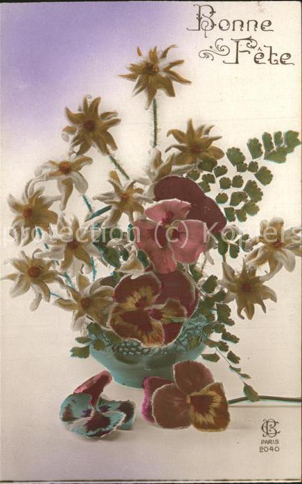 Edelweiss Blumen