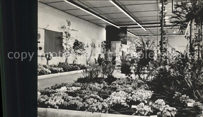 Gartenbauaustellung Erfurt  Halle XIII Blumen-und Zierpflan