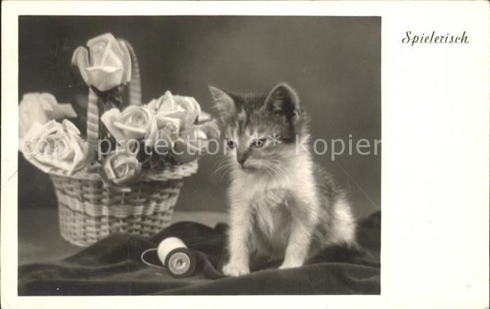 Katzen Fadenrolle Rosen