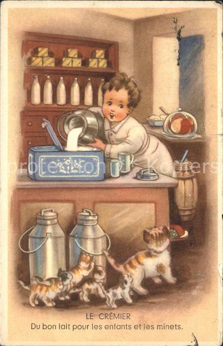 Geschaefte Milchhandel Katzen