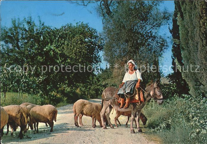 Esel Tiere Schafe Frau Korfu Corfu