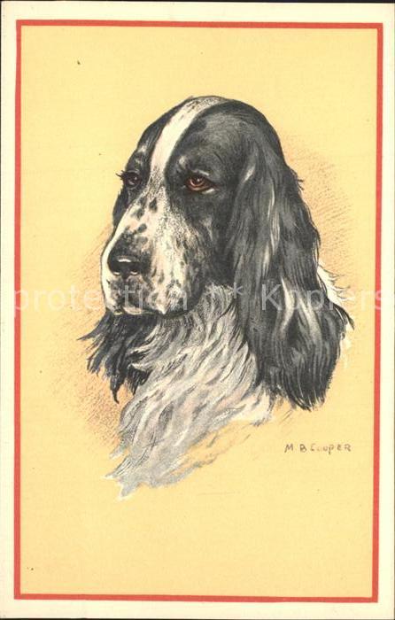 Kuenstlerkarte M.B. Cooper Hund
