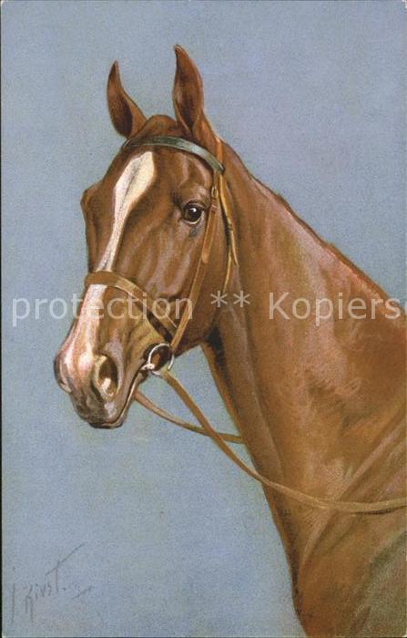 Pferde Künstlerkarte J. Rivst Nr. 150