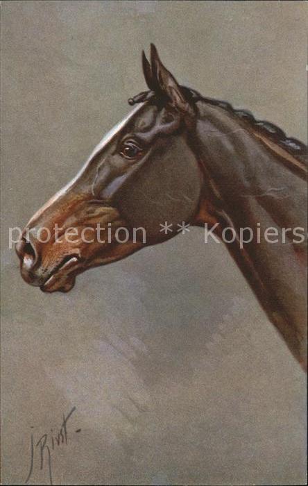 Pferde Künstlerkarte J. Rivst Nr. 154