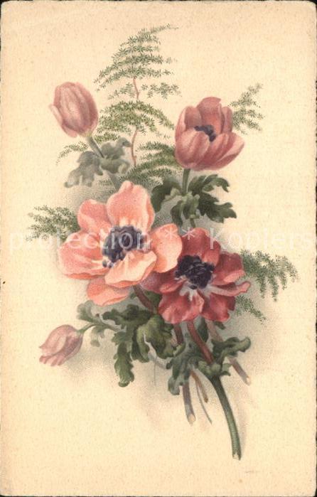 Blumen Meissner-und-Buch-Verlag Serie 2807