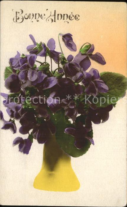 Blumen Veilchen Neujahr