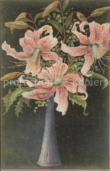 Blumen Lilien