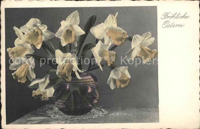 Blumen Narzissen Ostern