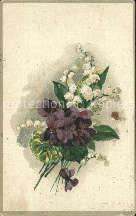 Blumen Veilchen Maiglöckchen