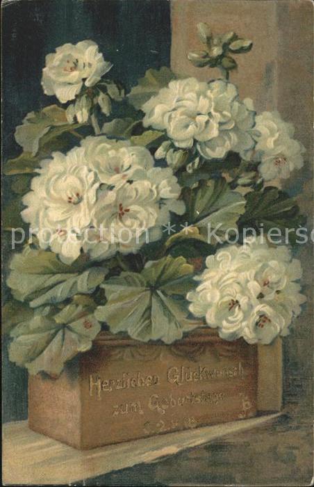 Blumen Geburtstag