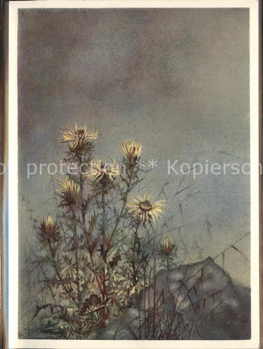 Kuenstlerkarte Elly Christotfel Golddistel Nr. 1951