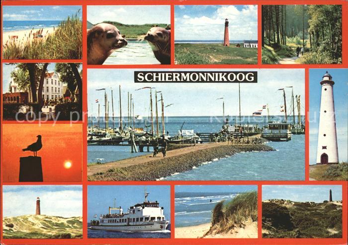 Schiermonnikoog Strand Seehund Leuchtturm Wanderweg Hafen Schiff Duene