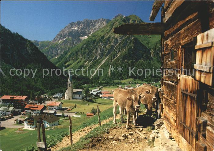Mittelberg Kleinwalsertal Ortsansicht mit Kirche Widderstein Berghof Kuehe