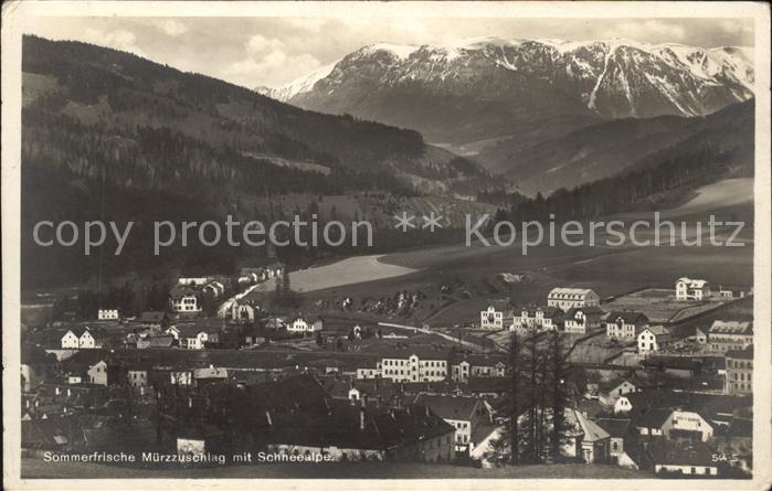 Muerzzuschlag Panorama mit Schneealpe Sommerfrische
