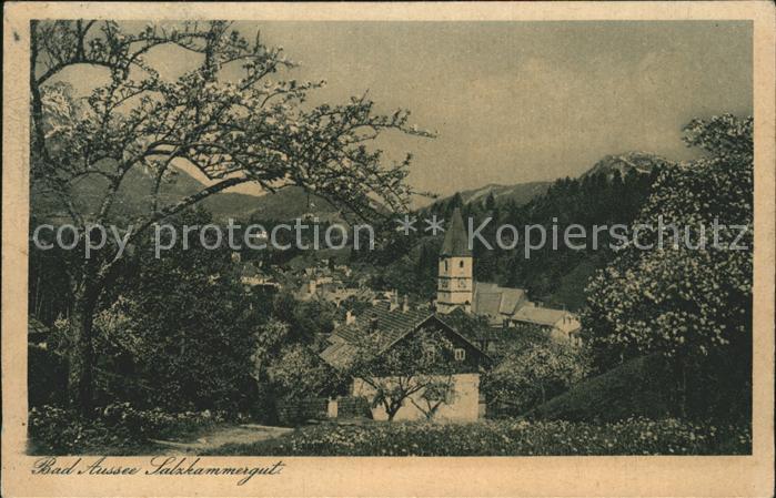 Bad Aussee Steiermark Ortsansicht mit Kirche Baumbluete Salzkammergut