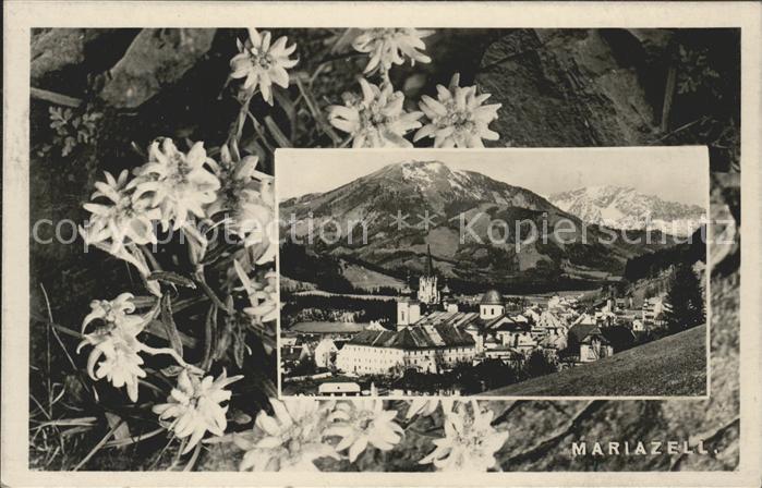 Mariazell Steiermark Gesamtansicht mit Basilika und Alpenpanorama Edelweiss