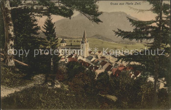 Mariazell Steiermark Durchblick vom Waldrand Basilika