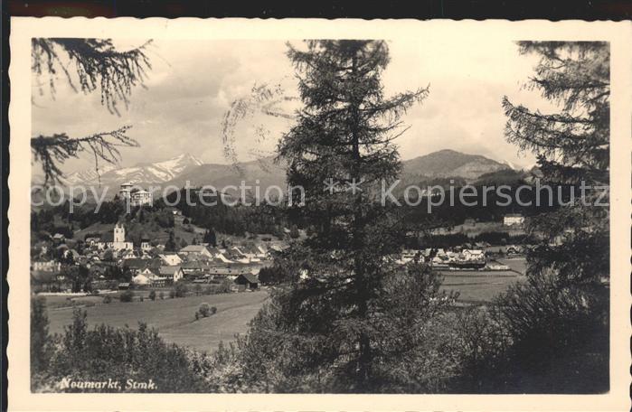 Neumarkt Steiermark Gesamtansicht mit Alpen