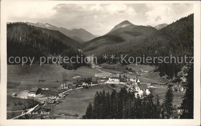 Frein an der Muerz Gesamtansicht mit Alpenpanorama