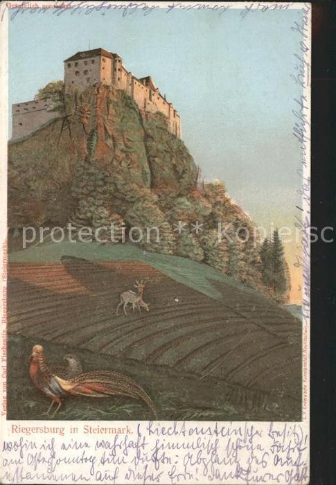 Riegersburg Burg Höhenburg